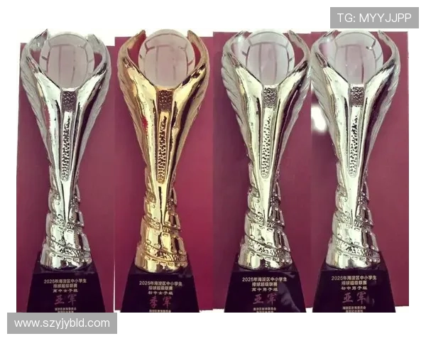 排球实力榜单揭晓北京排球队荣获第八名成就辉煌